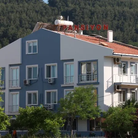 Hotel Doga Pansiyon-hotel *